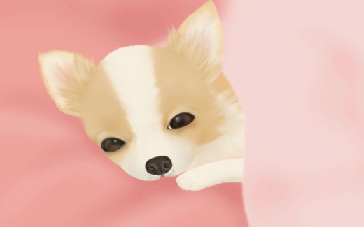 467750 (a): :1920x1200